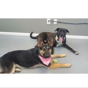 Meet your Posher, Francisco